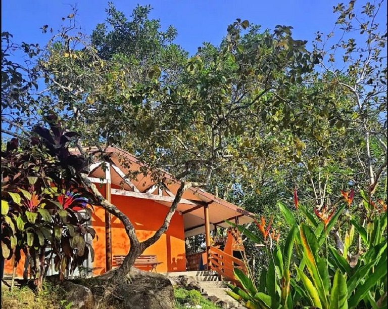 Sucasa Laranja no Ubatumirim